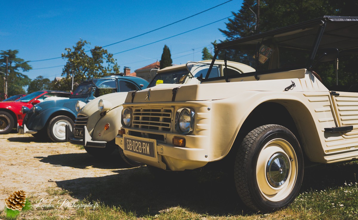 🚗 Car & Moto Addiction à Soustons : Le Charme Intemporel des Belles Anciennes